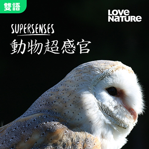 動物超感官S1第1集